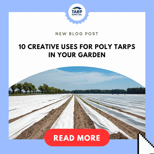10 Creative Uses for Poly Tarps in Your Garden: From Ground Covers to Windbreaks