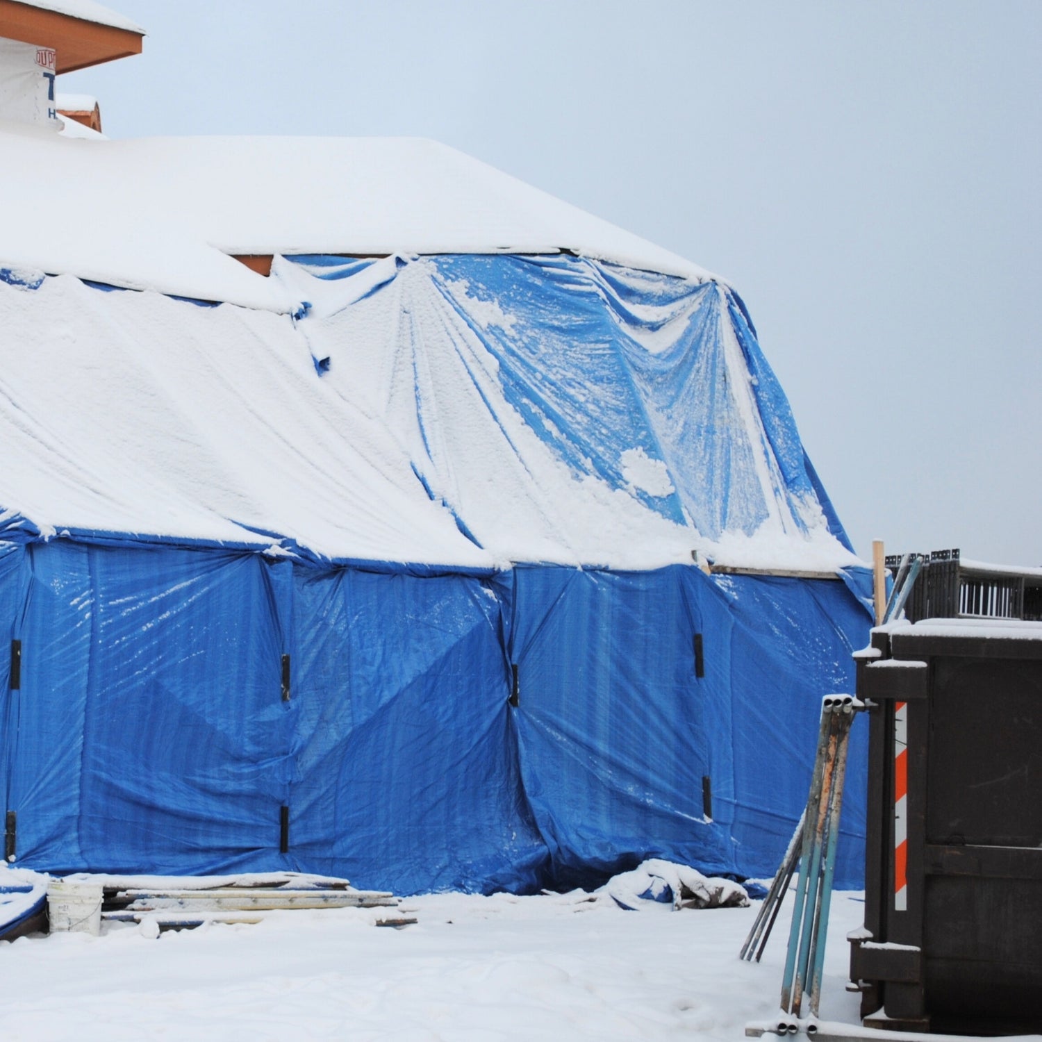 30'x40' Blue Poly Tarps - Case of 4 Tarps