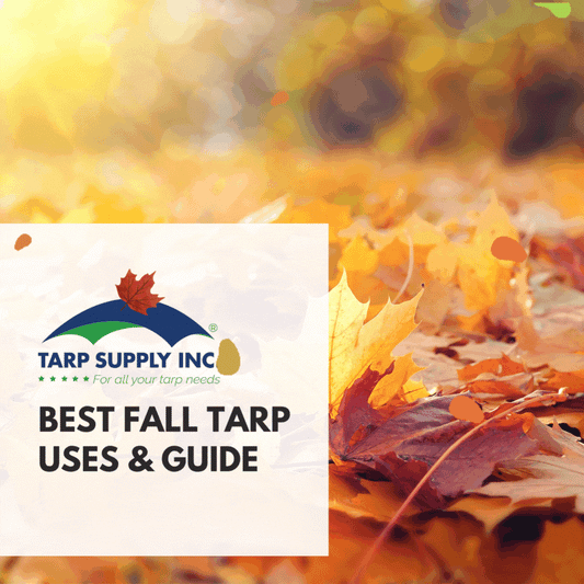 Best Fall Tarp Uses & Guide