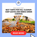 Best Tarps for Fall Cleanup: Keep Leaves and Debris Under Control