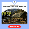 Beyond the Tent: 22 Ways to Use a Tarp in the Wild