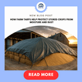 How Farm Tarps Help Protect Stored Crops from Moisture and Dust