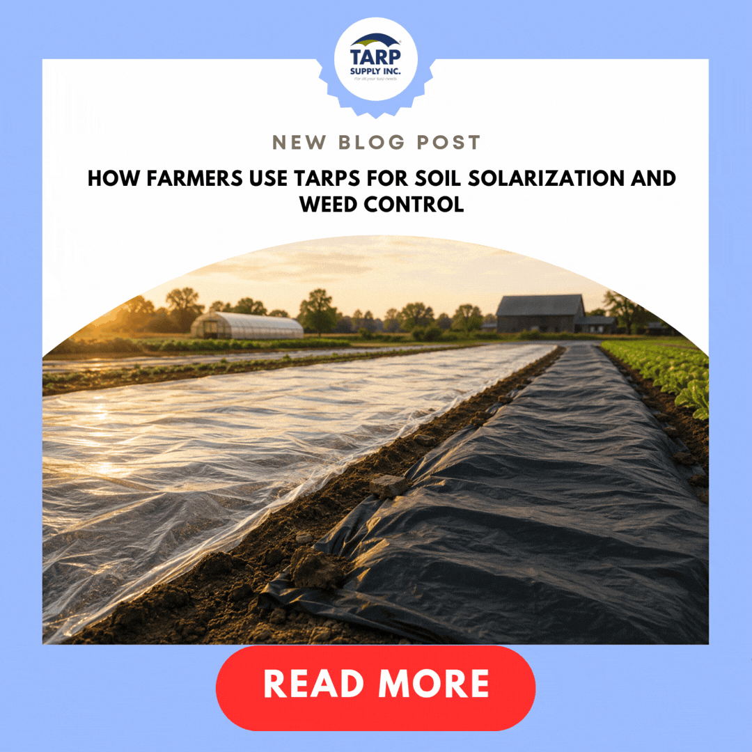 Farm Tarps for Solarization & Weed Control