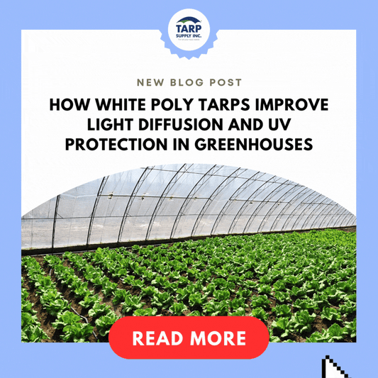 How White Poly Tarps Improve Light Diffusion and UV Protection in Greenhouses