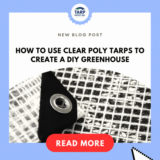 How to Use Clear Poly Tarps to Create a DIY Greenhouse