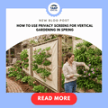 How to Use Tarps As Privacy Screens for Vertical Gardening in Spring
