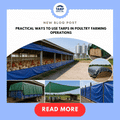 Practical Ways to Use Tarps in Poultry Farming Operations