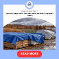 Prevent Crop Loss This Fall with UV-Resistant Poly Tarps