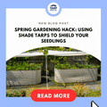 Spring Gardening Hack: Using Shade Tarps to Shield Your Seedlings
