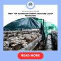 Tarps for Mushroom Farming: Moisture & Crop Protection