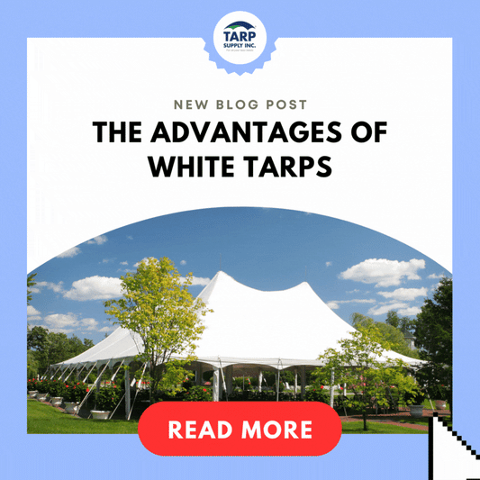 The Advantages of White Tarps