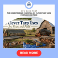 The Homesteading Essential: 22 Clever Tarp Uses for Farm and Field