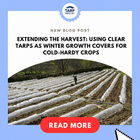 Using Clear Tarps as Winter Growth Covers for Cold-Hardy Crops