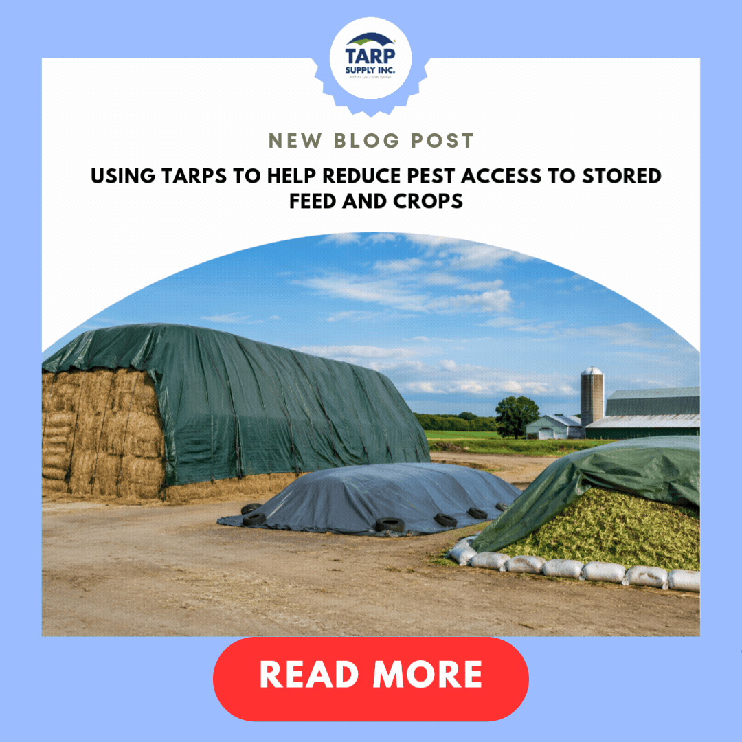 Using Tarps to Reduce Pest Access to Feed & Crops