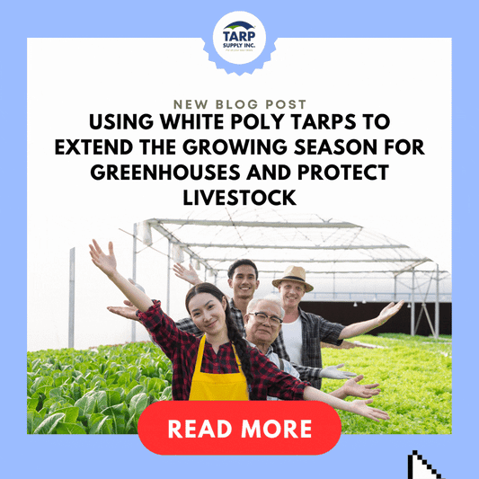 Using White Poly Tarps to Extend the Growing Season for Greenhouses and Protect Livestock