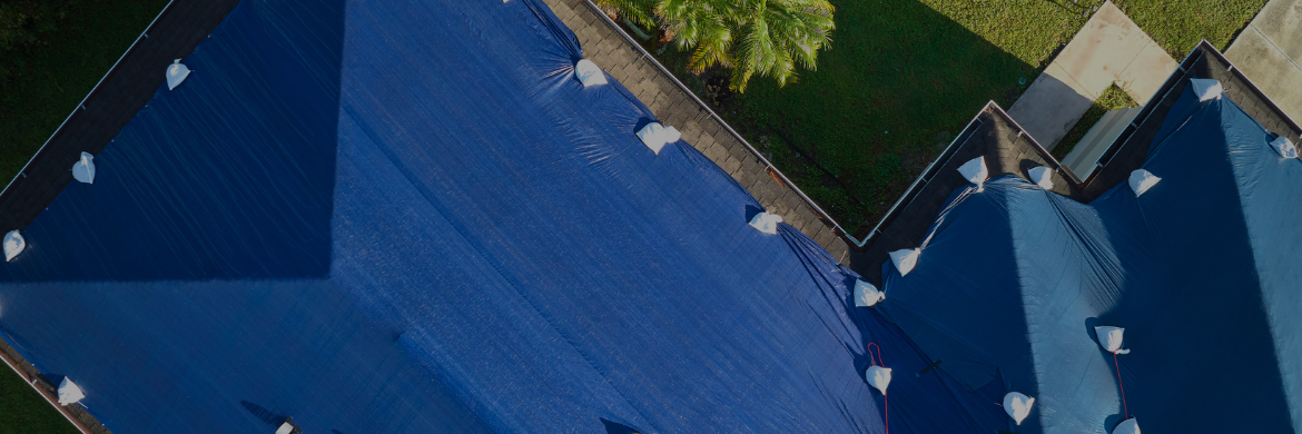 All Purpose Poly Tarps