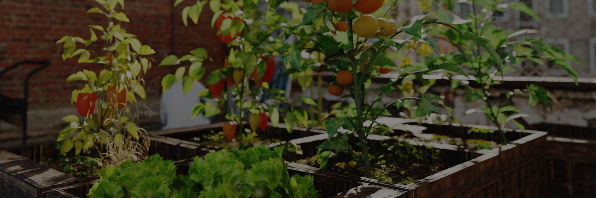 Spring Flash Sale Is Coming!